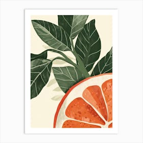 Guava Close Up Illustration 2 Art Print