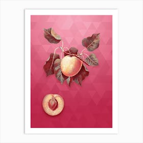 Vintage German Apricot Botanical in Gold on Viva Magenta n.0217 Art Print