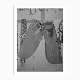 Cowboy Chaps In Ranch Supply Store, Alpine, Texas By Russell Lee Art Print