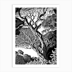 Atherton Tableland S Curtain Fig Tree, 1, Australia Linocut Black And White Vintage Art Print