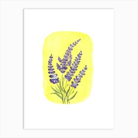 Lavender Flowers 1 Art Print