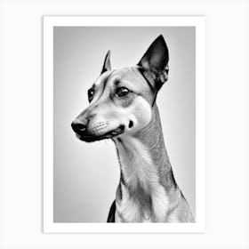 Miniature Pinscher B&W Pencil Dog Art Print