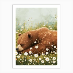 Brown Bear Resting In A Field Of Daisies Storybook 2 Art Print