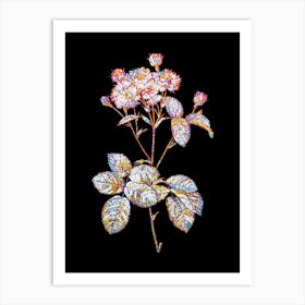 Stained Glass Vintage Pink Rosebush Mosaic Botanical Illustration on Black Art Print
