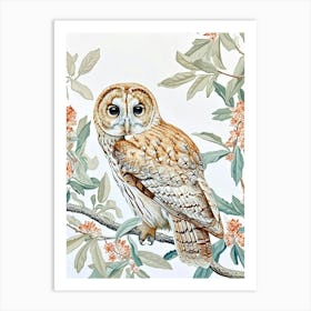 Tawny Owl Marker Drawing 5 Art Print