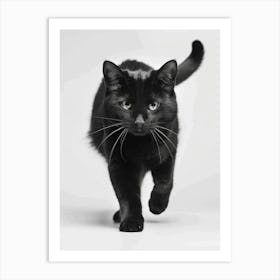 Black Cat Walking Art Print