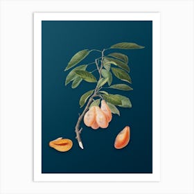 Vintage Plum Botanical Art on Teal Blue n.0486 Art Print