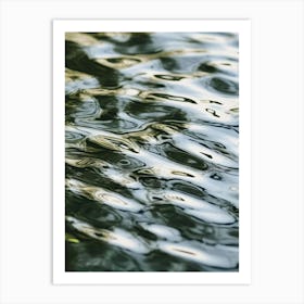 Reflections In Water 1 Art Print