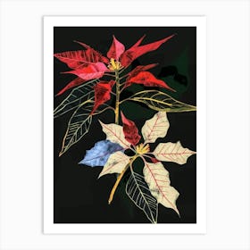 Neon Flowers On Black Poinsettia 2 Art Print