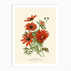 Anemones Art Print