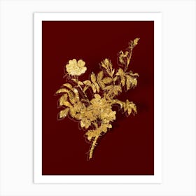 Vintage White Downy Rose Botanical in Gold on Red n.0522 Art Print