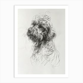 Spanish Water Dog Dog Charcoal Line 3 Art Print