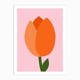 Tulip Pastel Pink And Orange Art Print