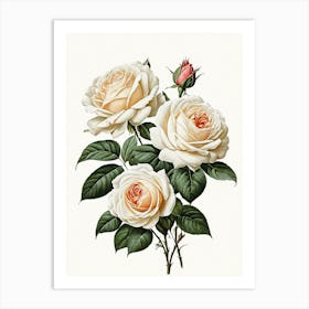 Vintage Galleria Style Rose Art Painting 3 Art Print