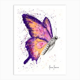 Venus Sunset Butterfly Art Print