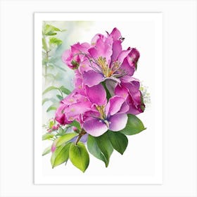 Rhododendron Wildflower Watercolour Art Print