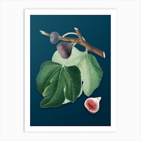 Vintage Black Fig Botanical Art on Teal Blue n.0406 Art Print