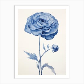 Blue Botanical Ranunculus 2 Art Print