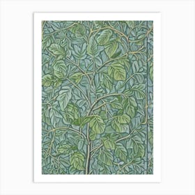 Fig Leaves Vintage Botanical Fruit Art Print