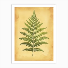 Vintage Illustration Boston Fern 4 Art Print