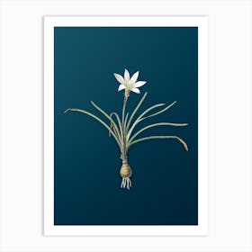 Vintage Rain Lily Botanical Art on Teal Blue n.0537 Art Print