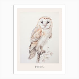 Vintage Bird Drawing Barn Owl 2 Poster Art Print