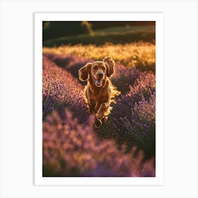 Dog Running Through Lavender Field. Generated AI. Art Print 3 Art Print