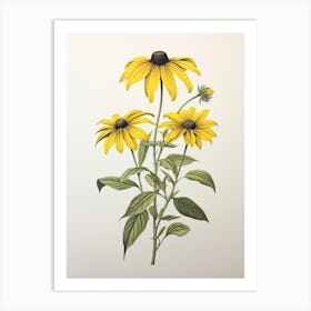 Black Eyed Susans Flower Vintage Botanical 2 Art Print