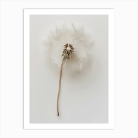 Dandelion 1 Art Print