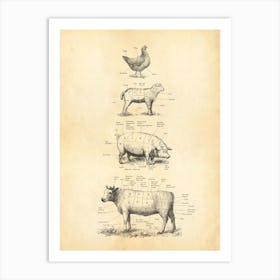 British Meat Cuts Cow Pork Lamb Chicken Art Print