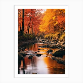 Autumn In The Forest 1 Art Print