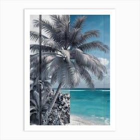 Palm Tree At The Beach Art Print