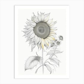 Sunflower Floral Quentin Blake Inspired Illustration 3 Flower Art Print