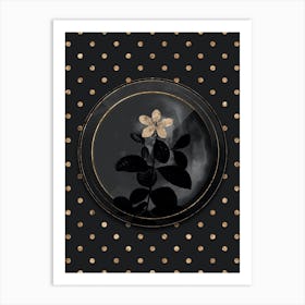 Shadowy Vintage Gardenia Botanical on Black and White Botanical in Black and Gold n.0053 Art Print