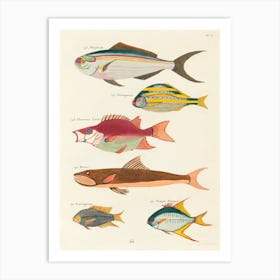 Colourful And Surreal Illustrations Of Fishes Found In Moluccas (Indonesia) And The East Indies, Louis Renard(56) Art Print