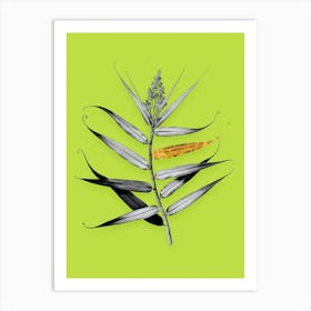 Vintage Bush Cane Black and White Gold Leaf Floral Art on Chartreuse n.0570 Art Print