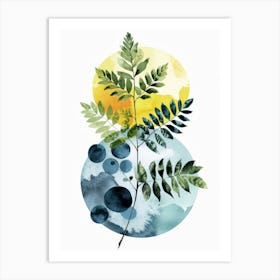 Ferns Art Print