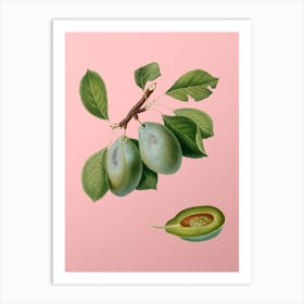 Vintage Plum Botanical on Soft Pink n.0697 Art Print