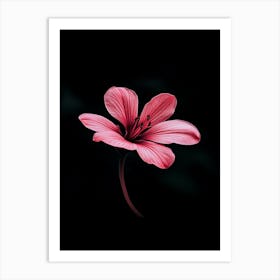 Pink Flower 8 Art Print