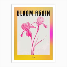 Hot Pink Iris 3 Poster Art Print