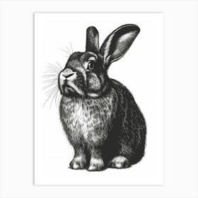 English Lop Blockprint Rabbit Illustration 5 Art Print