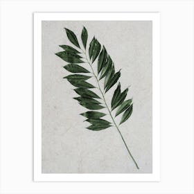 Single Stem Of Leaves Art Print