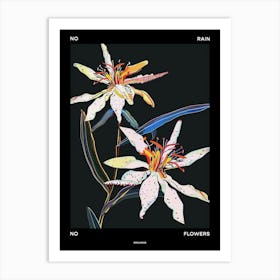 No Rain No Flowers Poster Edelweiss 1 Art Print