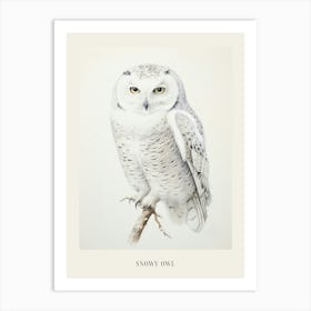 Vintage Bird Drawing Snowy Owl 4 Poster Art Print