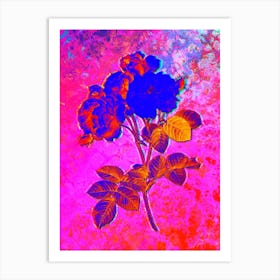 Pink Damask Rose Botanical in Acid Neon Pink Green and Blue n.0251 Art Print