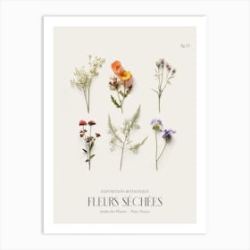 Fleurs Sechees, Dried Flowers Exhibition Poster 22 Art Print