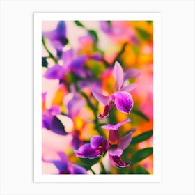 Orchid Colourful Illustration Art Print