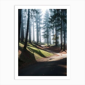 Road In The Forest Art Print