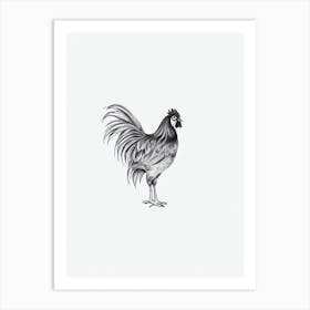 Rooster B&W Pencil Drawing 1 Bird Art Print