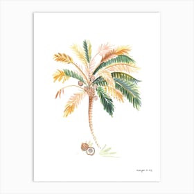 Unawatuna Palm Art Print